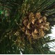 Gold Pine with crystals
