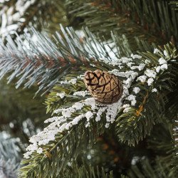 Scandinavian Spruce Christmas tree, bushy and thic with real natural cones and white snow