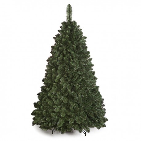 Caucasian Fir Christmas Tree