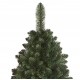 Caucasian Fir Christmas Tree