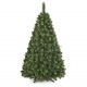 Young Pine Christmas Tree