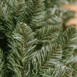 Caucasian Fir tree, All Natural dark green bushy branches with thic needles.