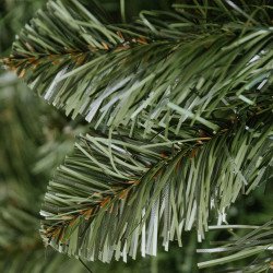 Caucasian Fir tree, All Natural dark green bushy branches with thic needles.